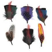 Fashion Side Feather 6-Pack