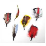 Assorted Side Feather 6-Pack