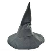 Gandalf Hat